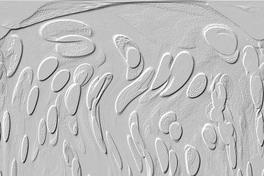 Seramik duvar ve döşemeler için doku arkaplanı. Banyo, mutfak kiremitleri. Duvar kağıdı..