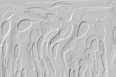 Seramik duvar ve döşemeler için doku arkaplanı. Banyo, mutfak kiremitleri. Duvar kağıdı..