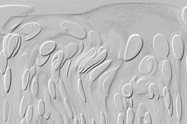 Seramik duvar ve döşemeler için doku arkaplanı. Banyo, mutfak kiremitleri. Duvar kağıdı..