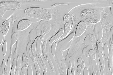 Seramik duvar ve döşemeler için doku arkaplanı. Banyo, mutfak kiremitleri. Duvar kağıdı..