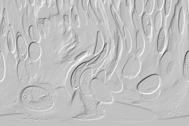 Seramik duvar ve döşemeler için doku arkaplanı. Banyo, mutfak kiremitleri. Duvar kağıdı..