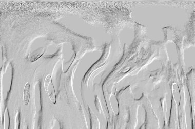 Seramik duvar ve döşemeler için doku arkaplanı. Banyo, mutfak kiremitleri. Duvar kağıdı..