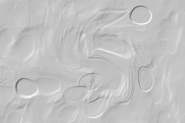 Seramik duvar ve döşemeler için doku arkaplanı. Banyo, mutfak kiremitleri. Duvar kağıdı..