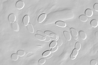 Seramik duvar ve döşemeler için doku arkaplanı. Banyo, mutfak kiremitleri. Duvar kağıdı..