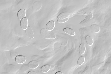 Seramik duvar ve döşemeler için doku arkaplanı. Banyo, mutfak kiremitleri. Duvar kağıdı..