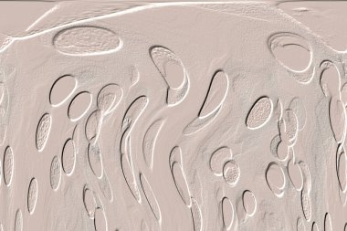 Seramik duvar ve döşemeler için doku arkaplanı. Banyo, mutfak kiremitleri. Duvar kağıdı..