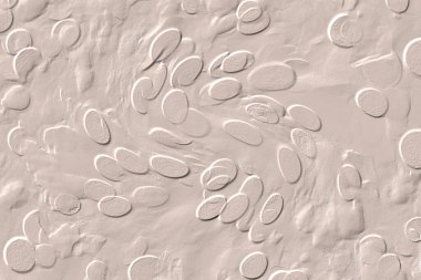 Seramik duvar ve döşemeler için doku arkaplanı. Banyo, mutfak kiremitleri. Duvar kağıdı..