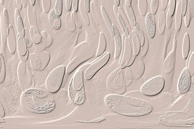 Seramik duvar ve döşemeler için doku arkaplanı. Banyo, mutfak kiremitleri. Duvar kağıdı..