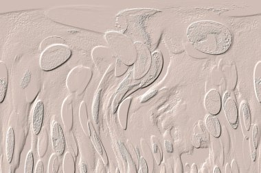 Seramik duvar ve döşemeler için doku arkaplanı. Banyo, mutfak kiremitleri. Duvar kağıdı..