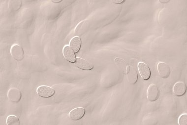 Seramik duvar ve döşemeler için doku arkaplanı. Banyo, mutfak kiremitleri. Duvar kağıdı..