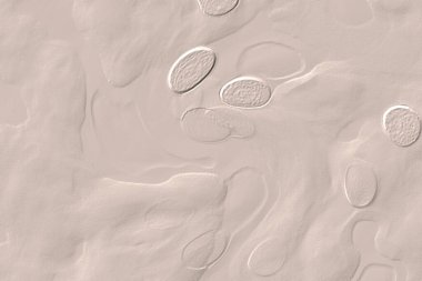 Seramik duvar ve döşemeler için doku arkaplanı. Banyo, mutfak kiremitleri. Duvar kağıdı..