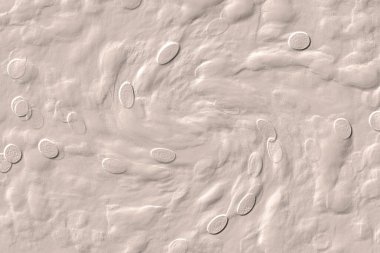 Seramik duvar ve döşemeler için doku arkaplanı. Banyo, mutfak kiremitleri. Duvar kağıdı..