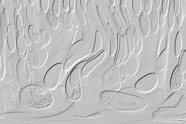 Seramik duvar ve döşemeler için doku arkaplanı. Banyo, mutfak kiremitleri. Duvar kağıdı..