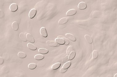 Seramik duvar ve döşemeler için doku arkaplanı. Banyo, mutfak kiremitleri. Duvar kağıdı..