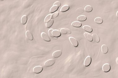 Seramik duvar ve döşemeler için doku arkaplanı. Banyo, mutfak kiremitleri. Duvar kağıdı..