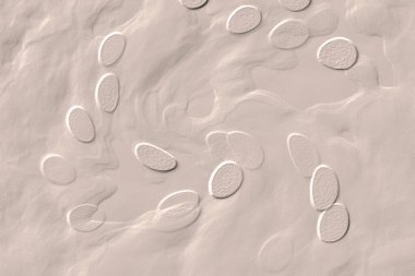 Seramik duvar ve döşemeler için doku arkaplanı. Banyo, mutfak kiremitleri. Duvar kağıdı..