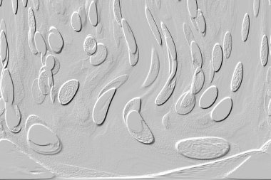 Seramik duvar ve döşemeler için doku arkaplanı. Banyo, mutfak kiremitleri. Duvar kağıdı..