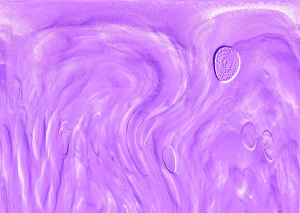 Seramik duvar ve döşemeler için doku arkaplanı. Banyo, mutfak kiremitleri. Duvar kağıdı..