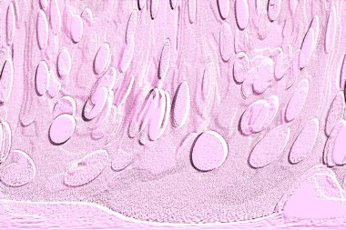 Seramik duvar ve döşemeler için doku arkaplanı. Banyo, mutfak kiremitleri. Duvar kağıdı..