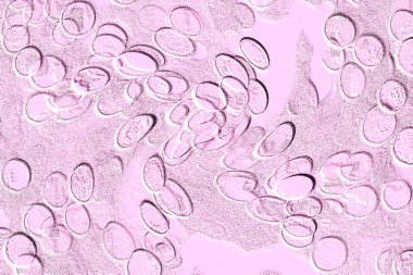 Seramik duvar ve döşemeler için doku arkaplanı. Banyo, mutfak kiremitleri. Duvar kağıdı..