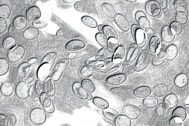 Seramik duvar ve döşemeler için doku arkaplanı. Banyo, mutfak kiremitleri. Duvar kağıdı..