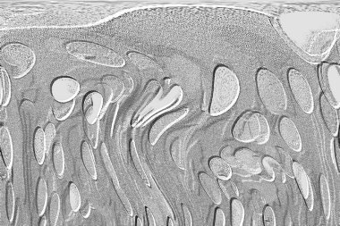 Seramik duvar ve döşemeler için doku arkaplanı. Banyo, mutfak kiremitleri. Duvar kağıdı..