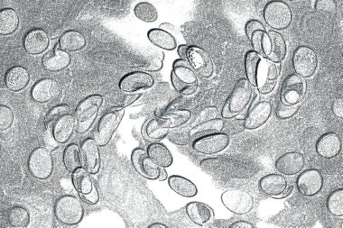 Seramik duvar ve döşemeler için doku arkaplanı. Banyo, mutfak kiremitleri. Duvar kağıdı..