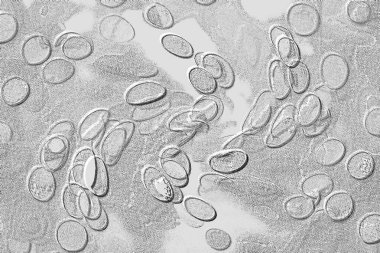 Seramik duvar ve döşemeler için doku arkaplanı. Banyo, mutfak kiremitleri. Duvar kağıdı..
