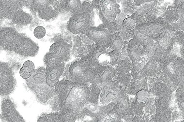 Seramik duvar ve döşemeler için doku arkaplanı. Banyo, mutfak kiremitleri. Duvar kağıdı..