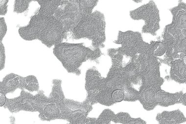 Seramik duvar ve döşemeler için doku arkaplanı. Banyo, mutfak kiremitleri. Duvar kağıdı..