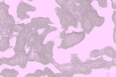 Seramik duvar ve döşemeler için doku arkaplanı. Banyo, mutfak kiremitleri. Duvar kağıdı..