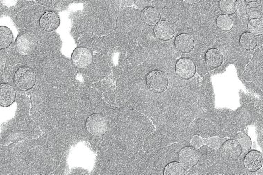 Seramik duvar ve döşemeler için doku arkaplanı. Banyo, mutfak kiremitleri. Duvar kağıdı..