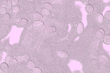 Seramik duvar ve döşemeler için doku arkaplanı. Banyo, mutfak kiremitleri. Duvar kağıdı..