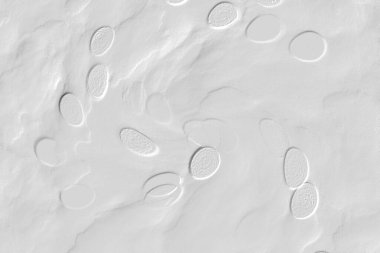 Seramik duvar ve döşemeler için doku arkaplanı. Banyo, mutfak kiremitleri. Duvar kağıdı..