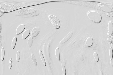 Seramik duvar ve döşemeler için doku arkaplanı. Banyo, mutfak kiremitleri. Duvar kağıdı..