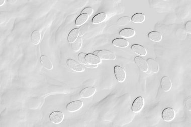 Seramik duvar ve döşemeler için doku arkaplanı. Banyo, mutfak kiremitleri. Duvar kağıdı..