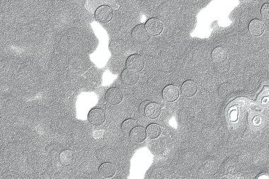 Seramik duvar ve döşemeler için doku arkaplanı. Banyo, mutfak kiremitleri. Duvar kağıdı..