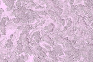 Seramik duvar ve döşemeler için doku arkaplanı. Banyo, mutfak kiremitleri. Duvar kağıdı..