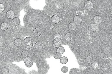 Seramik duvar ve döşemeler için doku arkaplanı. Banyo, mutfak kiremitleri. Duvar kağıdı..