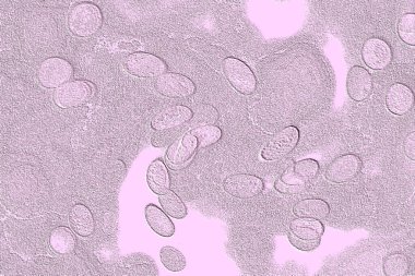 Seramik duvar ve döşemeler için doku arkaplanı. Banyo, mutfak kiremitleri. Duvar kağıdı..