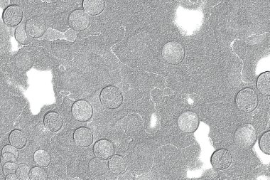 Seramik duvar ve döşemeler için doku arkaplanı. Banyo, mutfak kiremitleri. Duvar kağıdı..