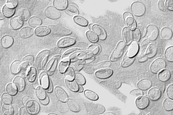 Seramik duvar ve döşemeler için doku arkaplanı. Banyo, mutfak kiremitleri. Duvar kağıdı..