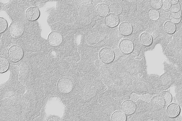 Seramik duvar ve döşemeler için doku arkaplanı. Banyo, mutfak kiremitleri. Duvar kağıdı..