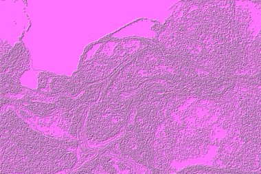 Seramik duvarın ve yerdeki fayansların dokusu. İç dekorasyon. 3 boyutlu grafikler için kusursuz doku haritası. Duvar kağıdı, tekstil, web sayfası arkaplanı.