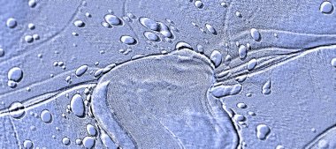 Seramik duvarın ve yerdeki fayansların dokusu. İç dekorasyon. 3 boyutlu grafikler için kusursuz doku haritası. Duvar kağıdı, tekstil, web sayfası arkaplanı.