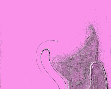 Seramik duvarın ve yerdeki fayansların dokusu. İç dekorasyon. 3 boyutlu grafikler için kusursuz doku haritası. Duvar kağıdı, tekstil, web sayfası arkaplanı.