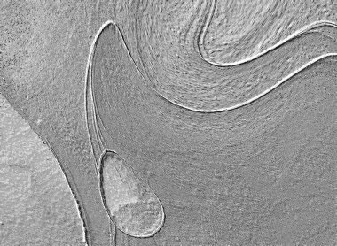 Seramik duvarın ve yerdeki fayansların dokusu. İç dekorasyon. 3 boyutlu grafikler için kusursuz doku haritası. Duvar kağıdı, tekstil, web sayfası arkaplanı.