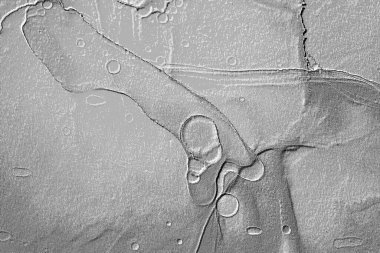 Seramik duvarın ve yerdeki fayansların dokusu. İç dekorasyon. 3 boyutlu grafikler için kusursuz doku haritası. Duvar kağıdı, tekstil, web sayfası arkaplanı.