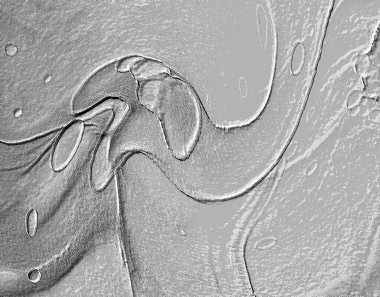 Seramik duvarın ve yerdeki fayansların dokusu. İç dekorasyon. 3 boyutlu grafikler için kusursuz doku haritası. Duvar kağıdı, tekstil, web sayfası arkaplanı.