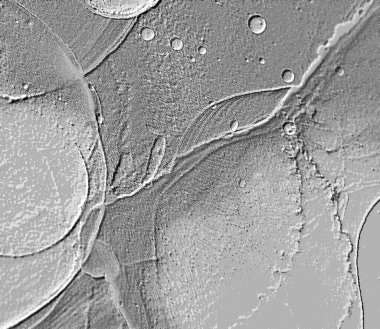Seramik duvarın ve yerdeki fayansların dokusu. İç dekorasyon. 3 boyutlu grafikler için kusursuz doku haritası. Duvar kağıdı, tekstil, web sayfası arkaplanı.